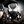 THE BLOODY BEETROOTS